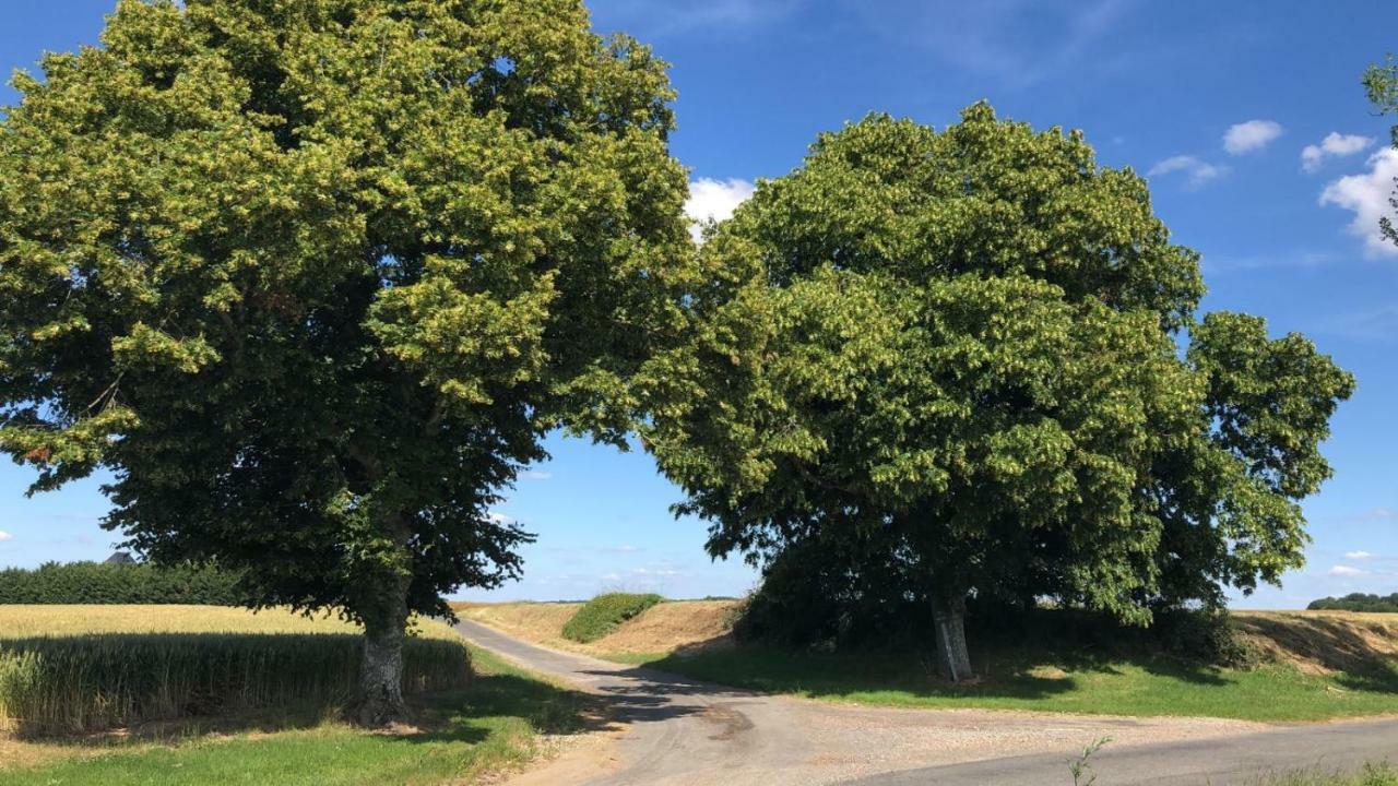 Le Gite De Ballage Chemille-Sur-Deme Exterior photo